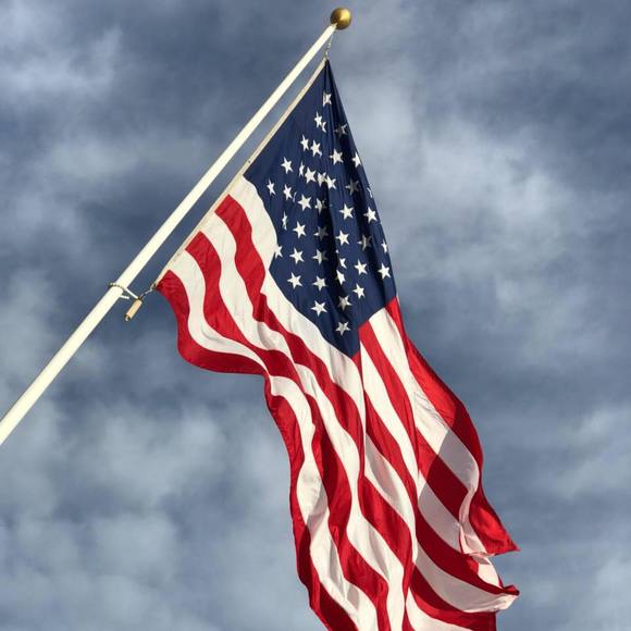 Meet your Posher, Anna - Picture 1 of 1